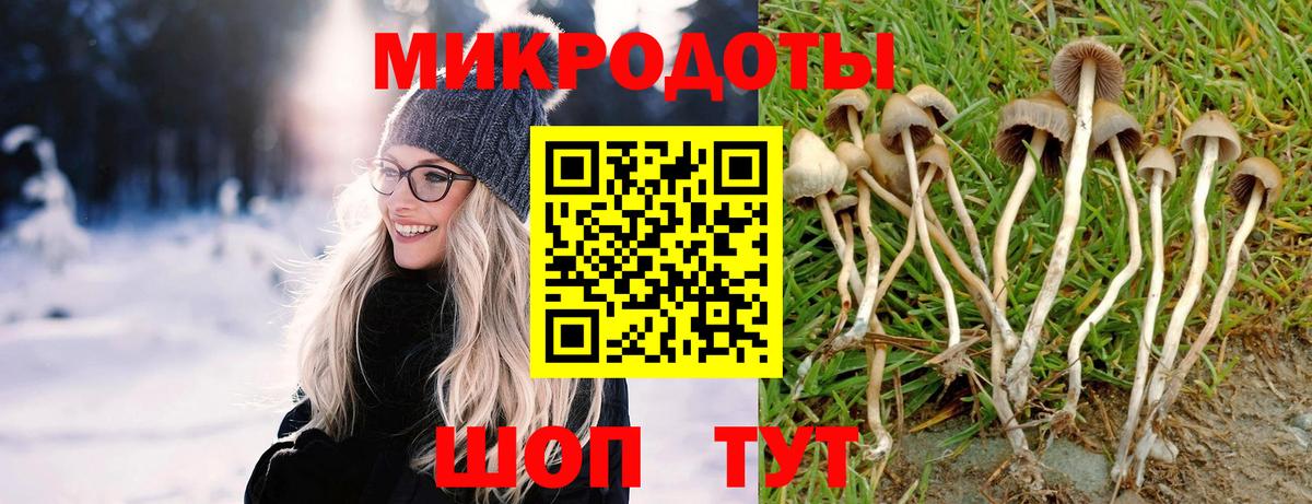 Псилоцибиновые грибы Psilocybine cubensis  Псилоцибиновые грибы Psilocybine cubensis  Вход с VPN  Лабинск 